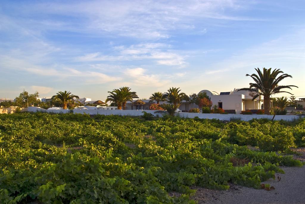 Alafouzos Studios & Apartments Kamari  Luaran gambar